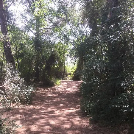 Gemina Vada